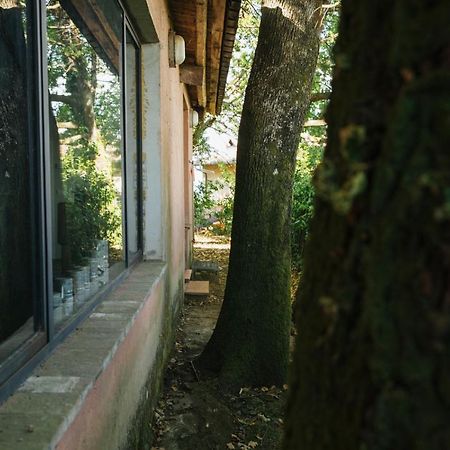 Studio/Flat Rustic Tuscan Marziani 2 Capannori Dış mekan fotoğraf
