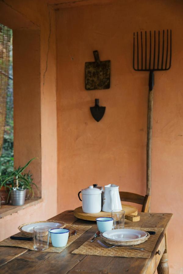 Studio/Flat Rustic Tuscan Marziani 2 Capannori Dış mekan fotoğraf
