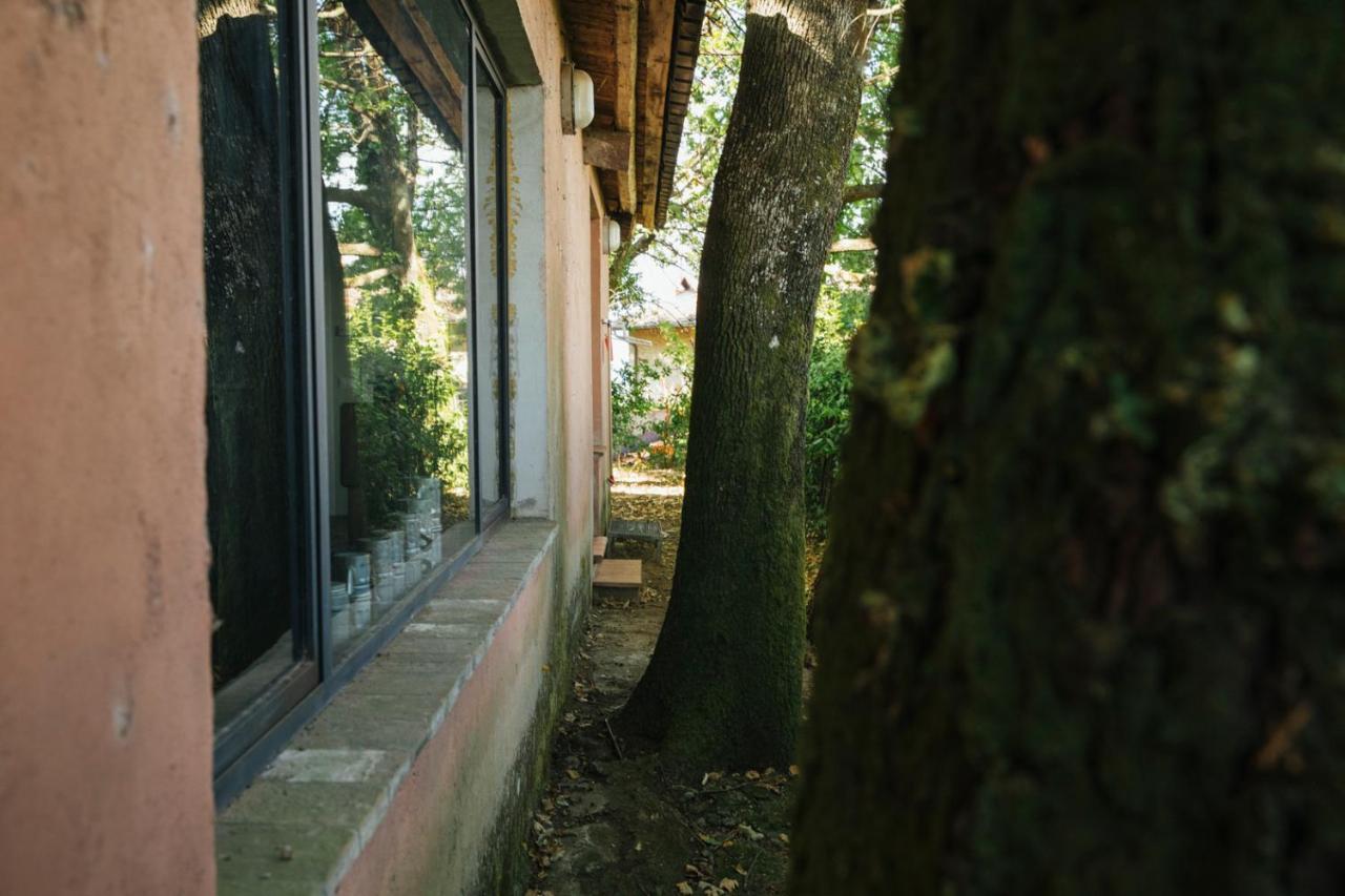 Studio/Flat Rustic Tuscan Marziani 2 Capannori Dış mekan fotoğraf